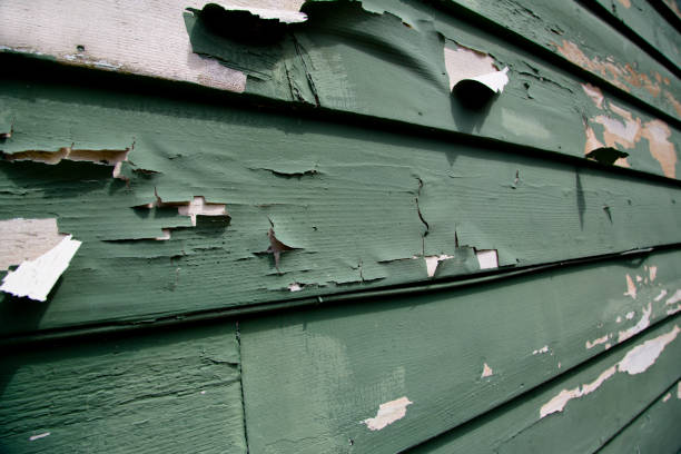 Affordable siding repair and maintenance services in Cave City, KY